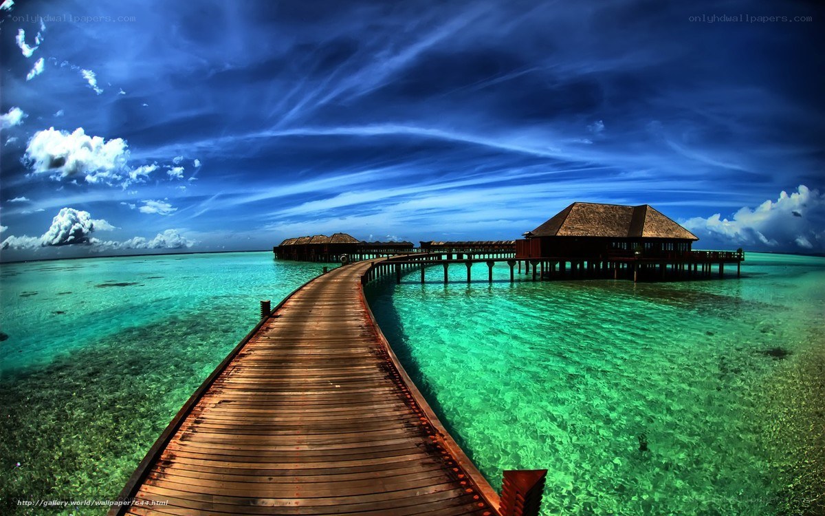 Tropical overwater bungalows