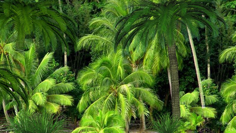 Tropical Palm Forest — Green
