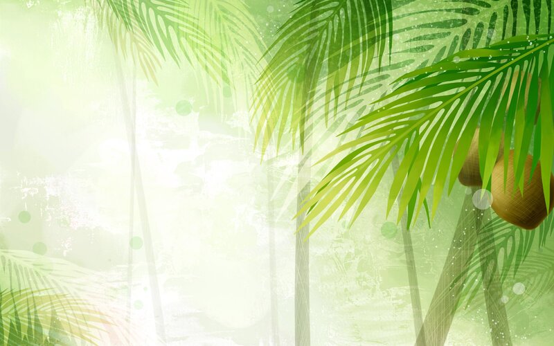 tropical palm leaves background