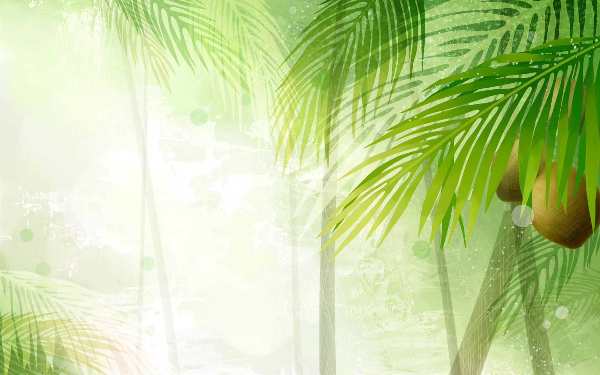 tropical palm leaves background