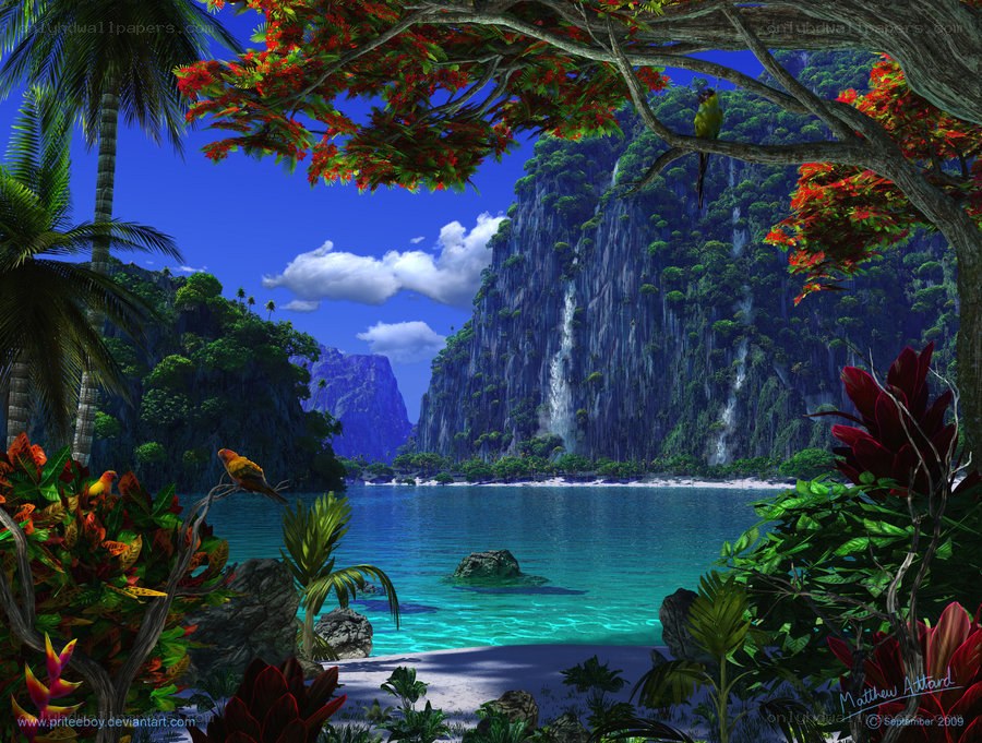 tropical paradise cove