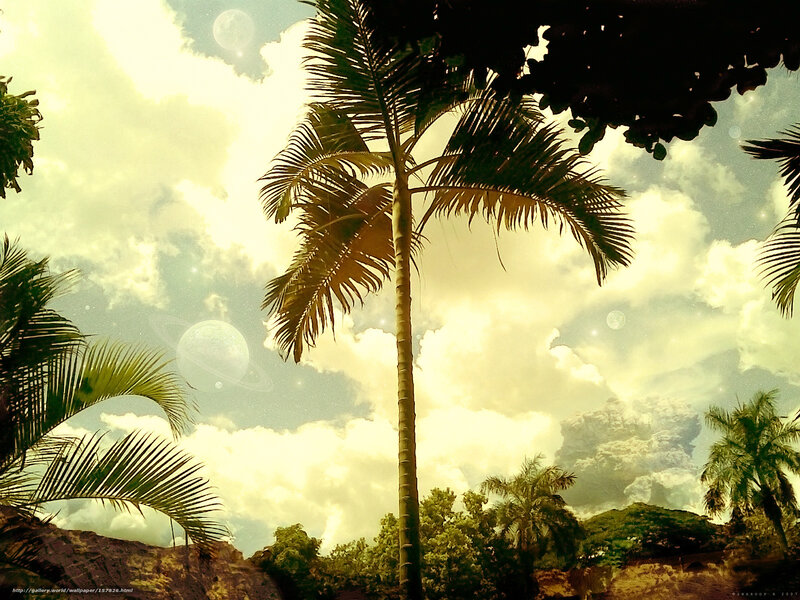 Tropical paradise with alien planets