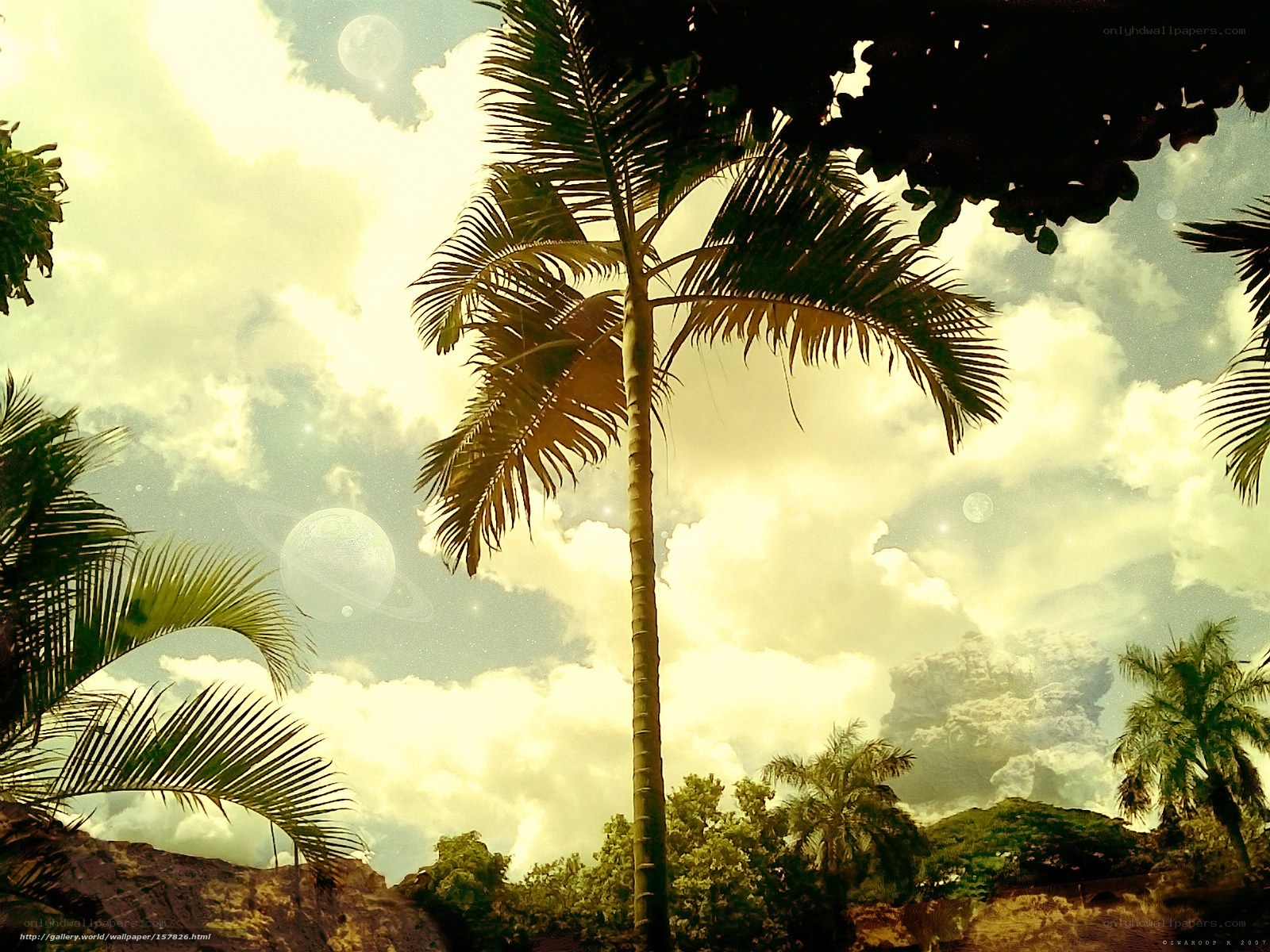 Tropical paradise with alien planets