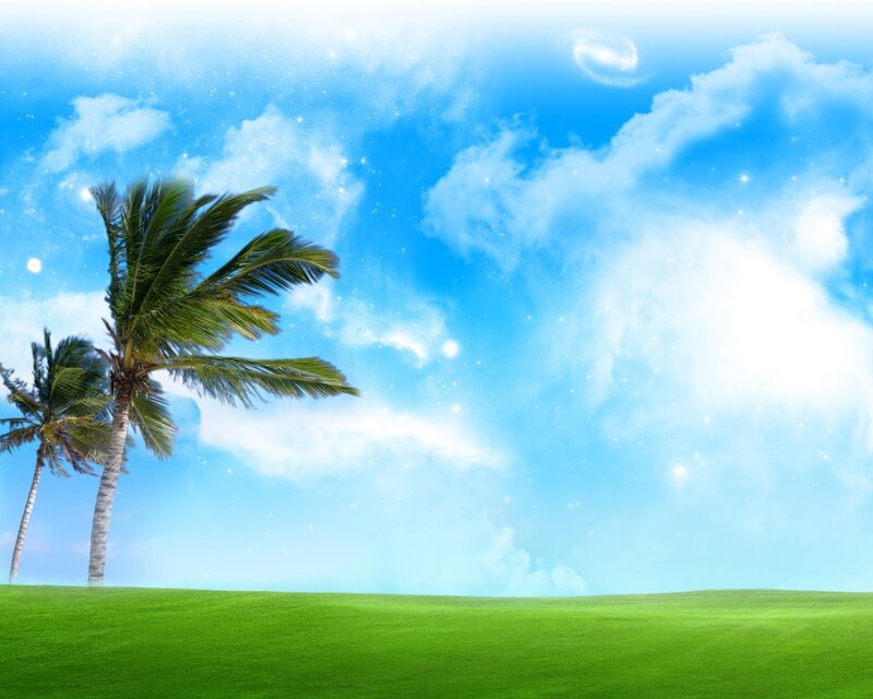 tropical paradise with palm trees