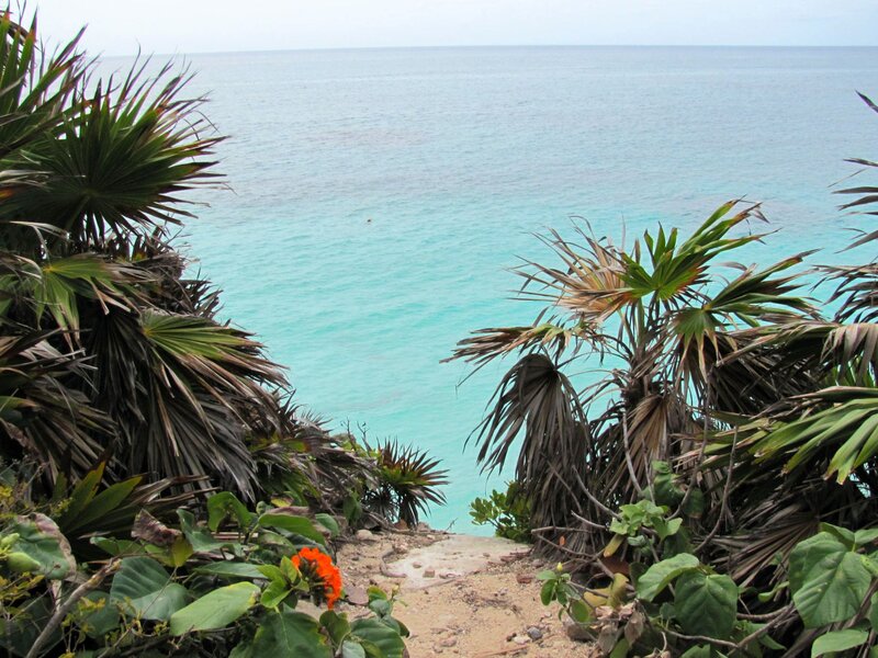 Tropical Path to Ocean