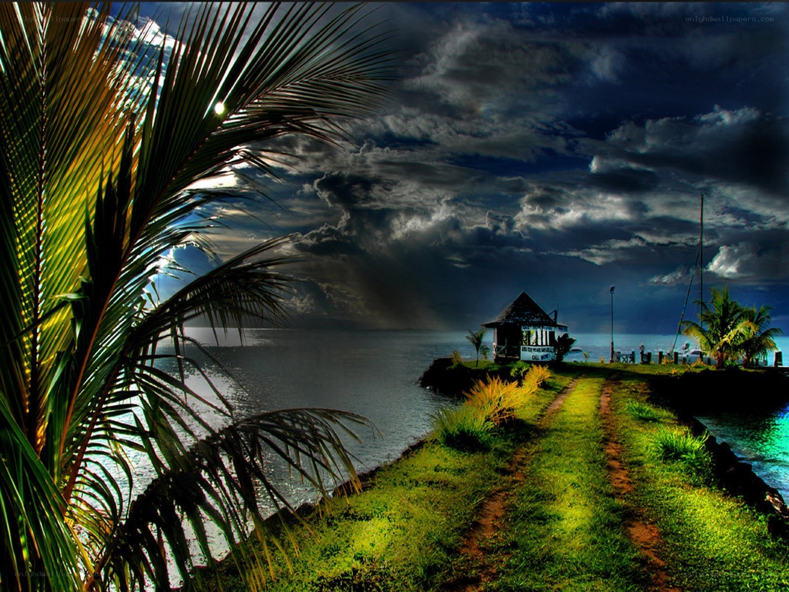 Tropical path to the sea