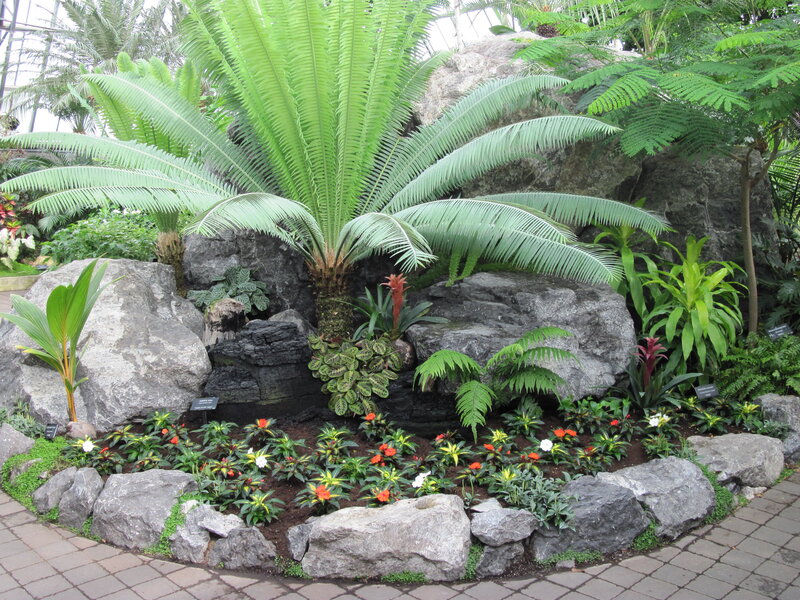 Tropical Plant Display — Green, Serene