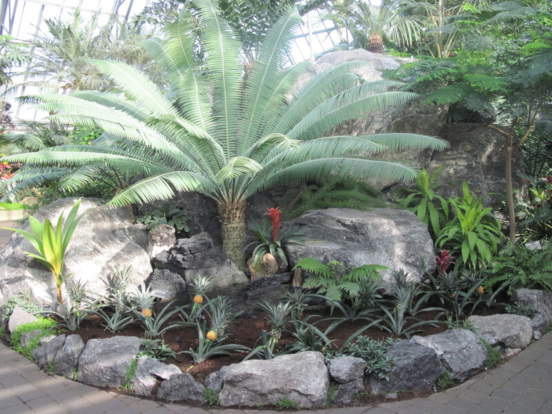 Tropical Plant Display — Green