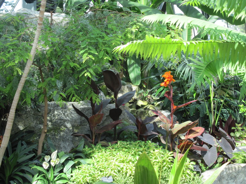 Tropical Plant Garden — Green