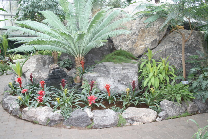 Tropical Plant Garden