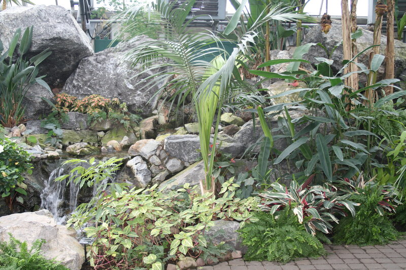 Tropical Plants and Waterfall
