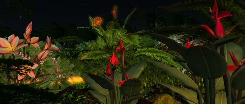 Tropical Plants at Night