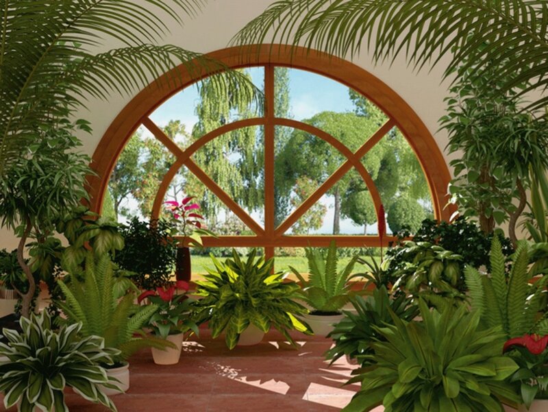 Tropical Plants in Conservatory