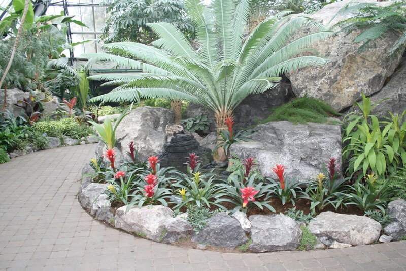 Tropical Plants in Garden — Green, Serene, Photograph