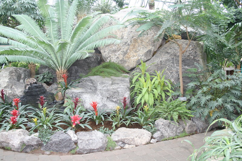 Tropical Plants in Garden — Green, Serene