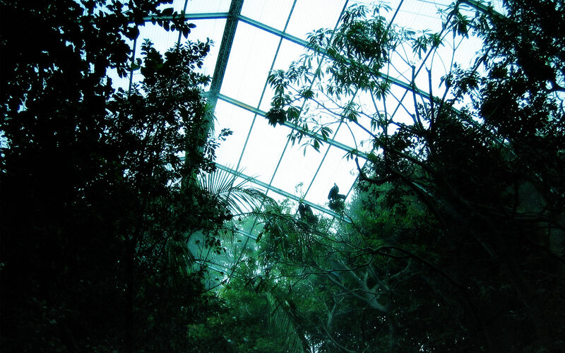 Tropical plants under glass roof