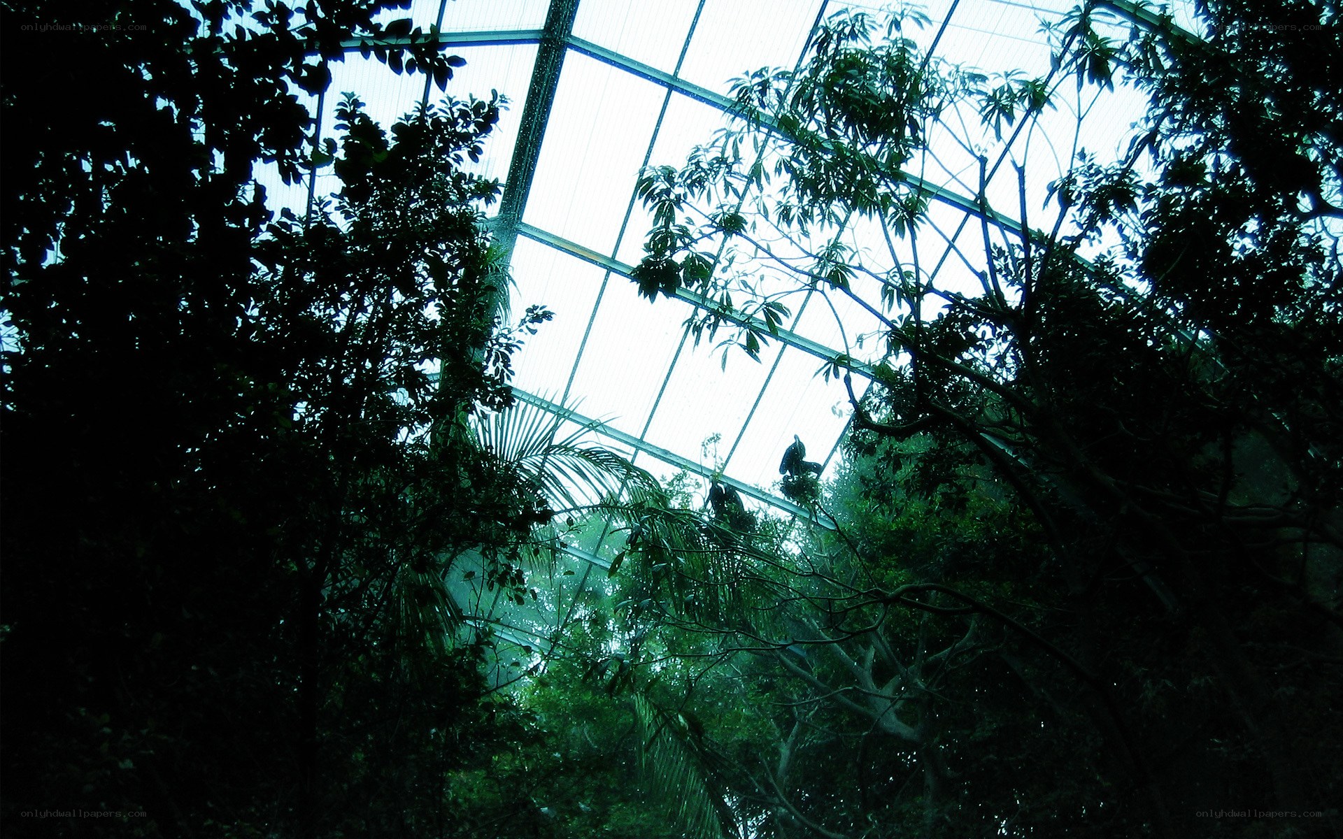 Tropical plants under glass roof
