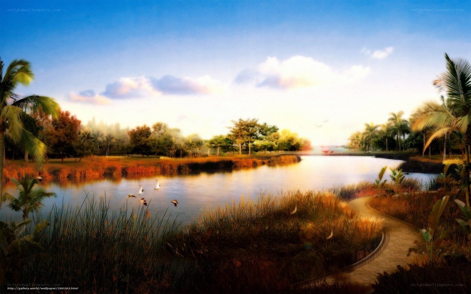 Tropical pond at sunset