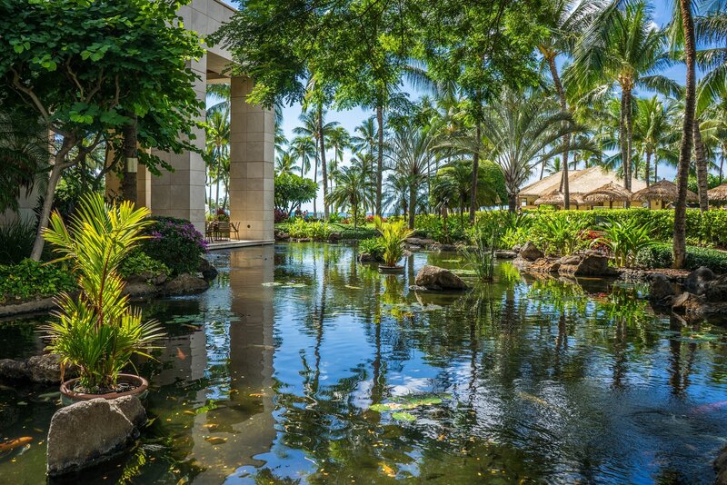 Tropical Pond with Koi