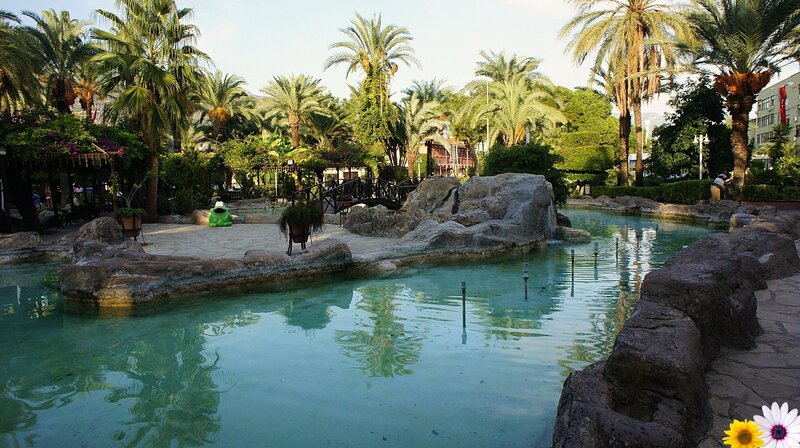 Tropical Pool Area — Green, Serene, Afternoon