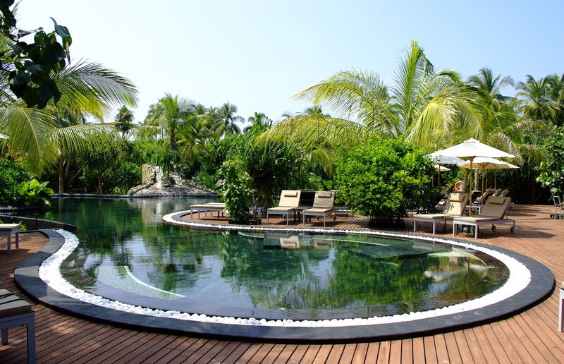 Tropical Pool Area — Green, Serene