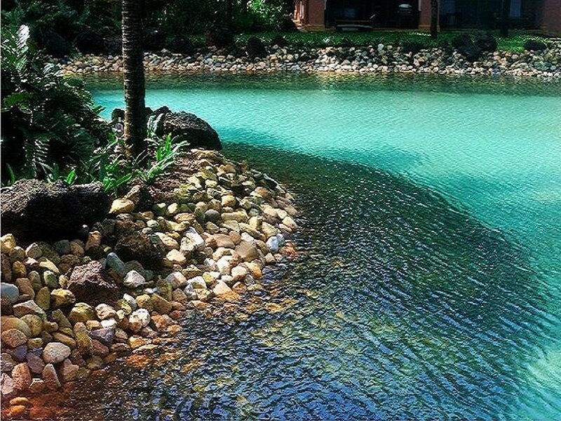 Tropical Pool Edge