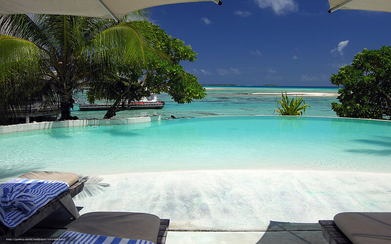 tropical pool overlooking ocean