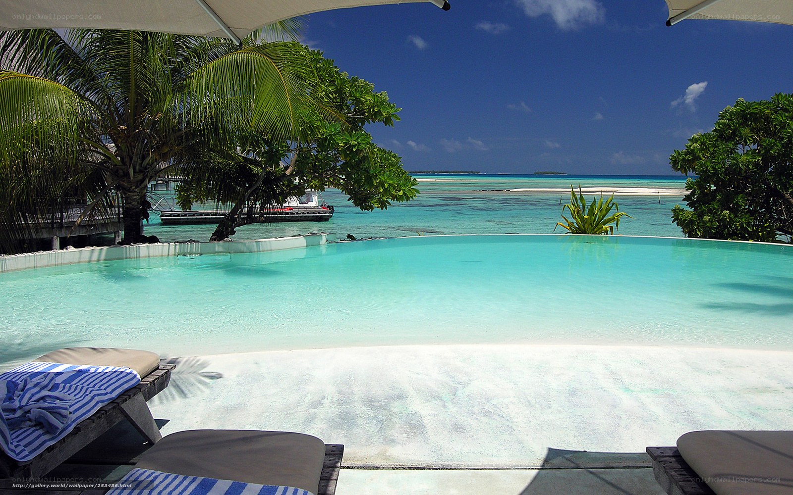 tropical pool overlooking ocean