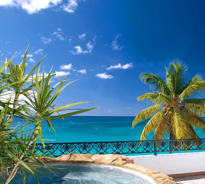 Tropical Pool View — Blue, Serene