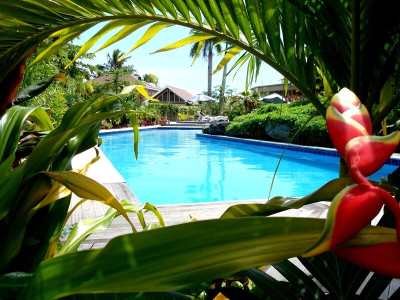 Tropical Pool View — Blue