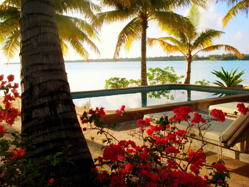 Tropical Pool View