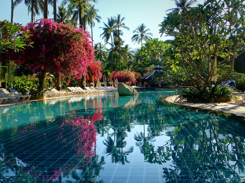 Tropical Pool with Flowers