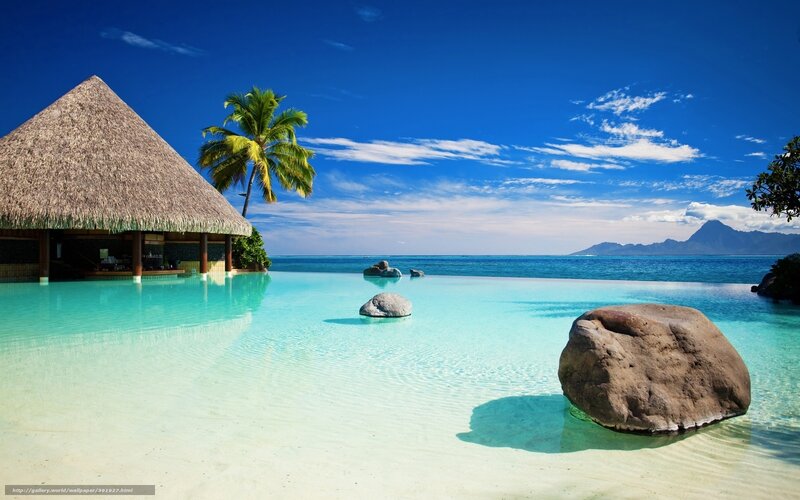 Tropical Pool with Hut