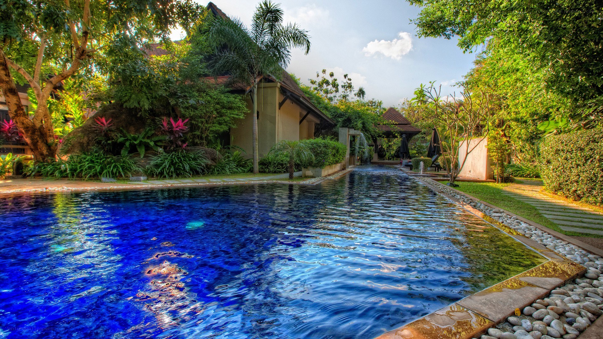 tropical pool with lush garden