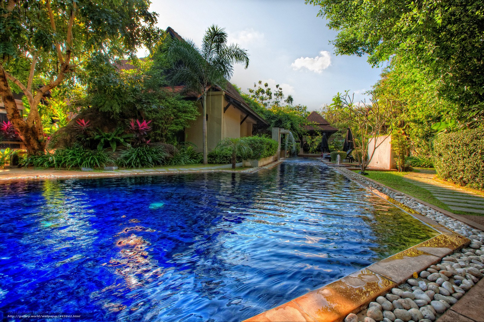 tropical pool with lush garden