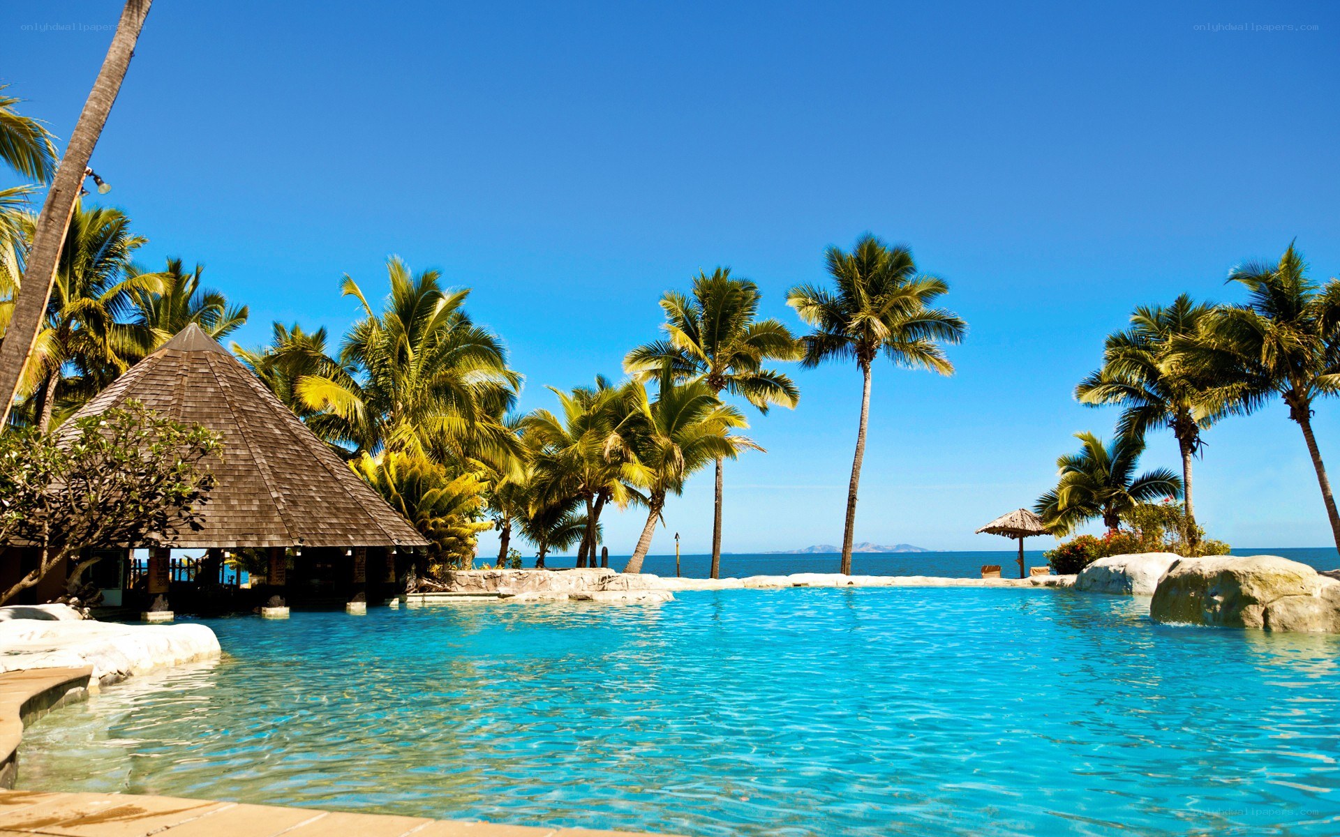 tropical pool with ocean view