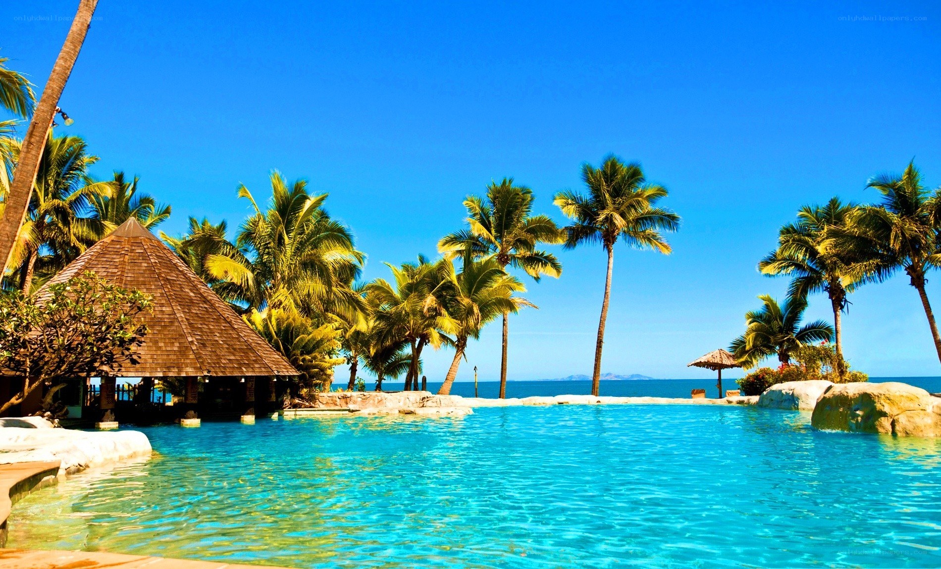Tropical pool with ocean view