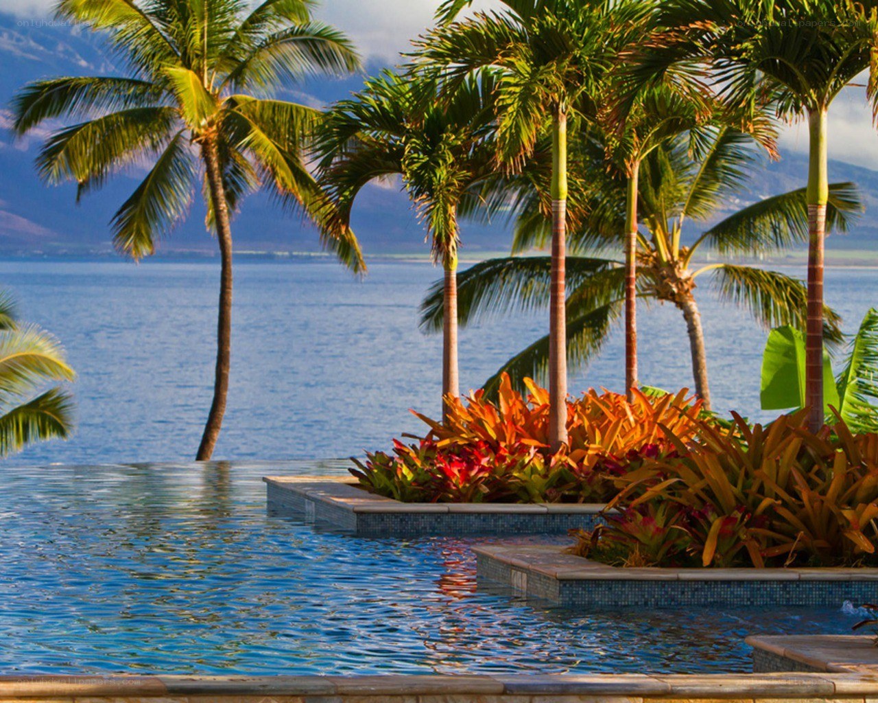 tropical pool with ocean view