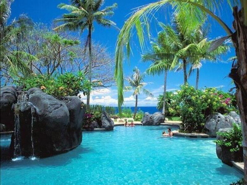 tropical pool with ocean view