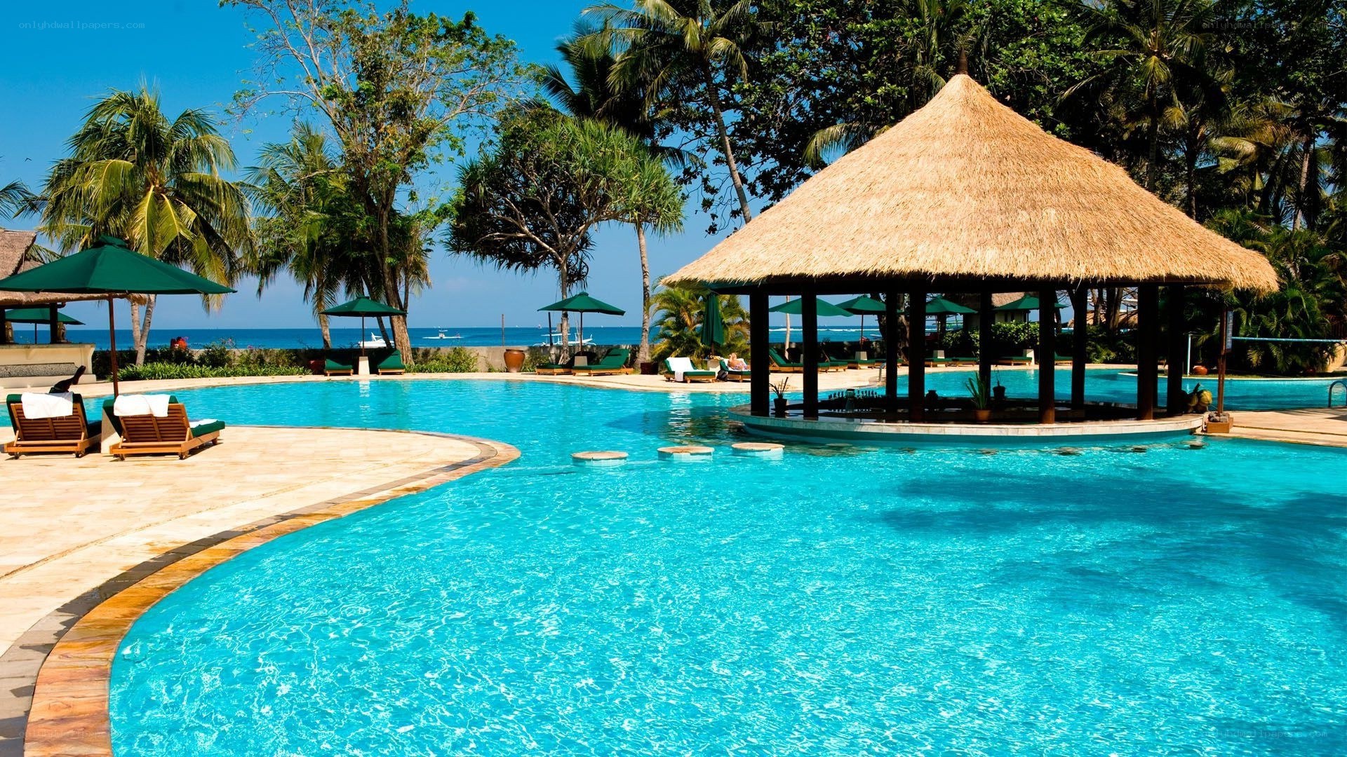 tropical pool with ocean view