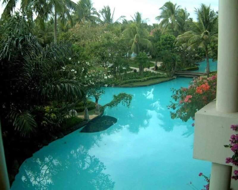 tropical pool with palm trees