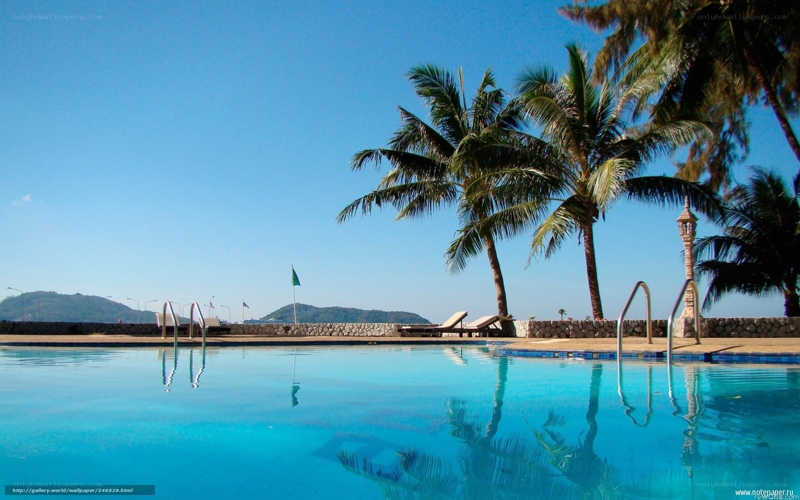 tropical pool with palm trees