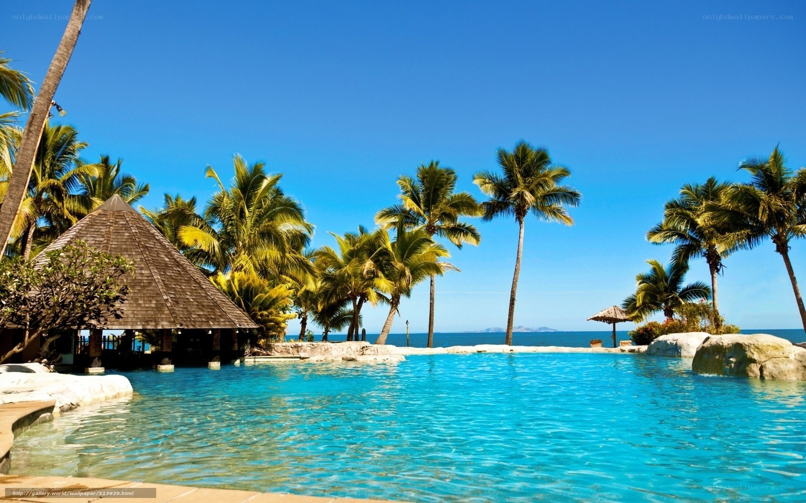tropical pool with palm trees
