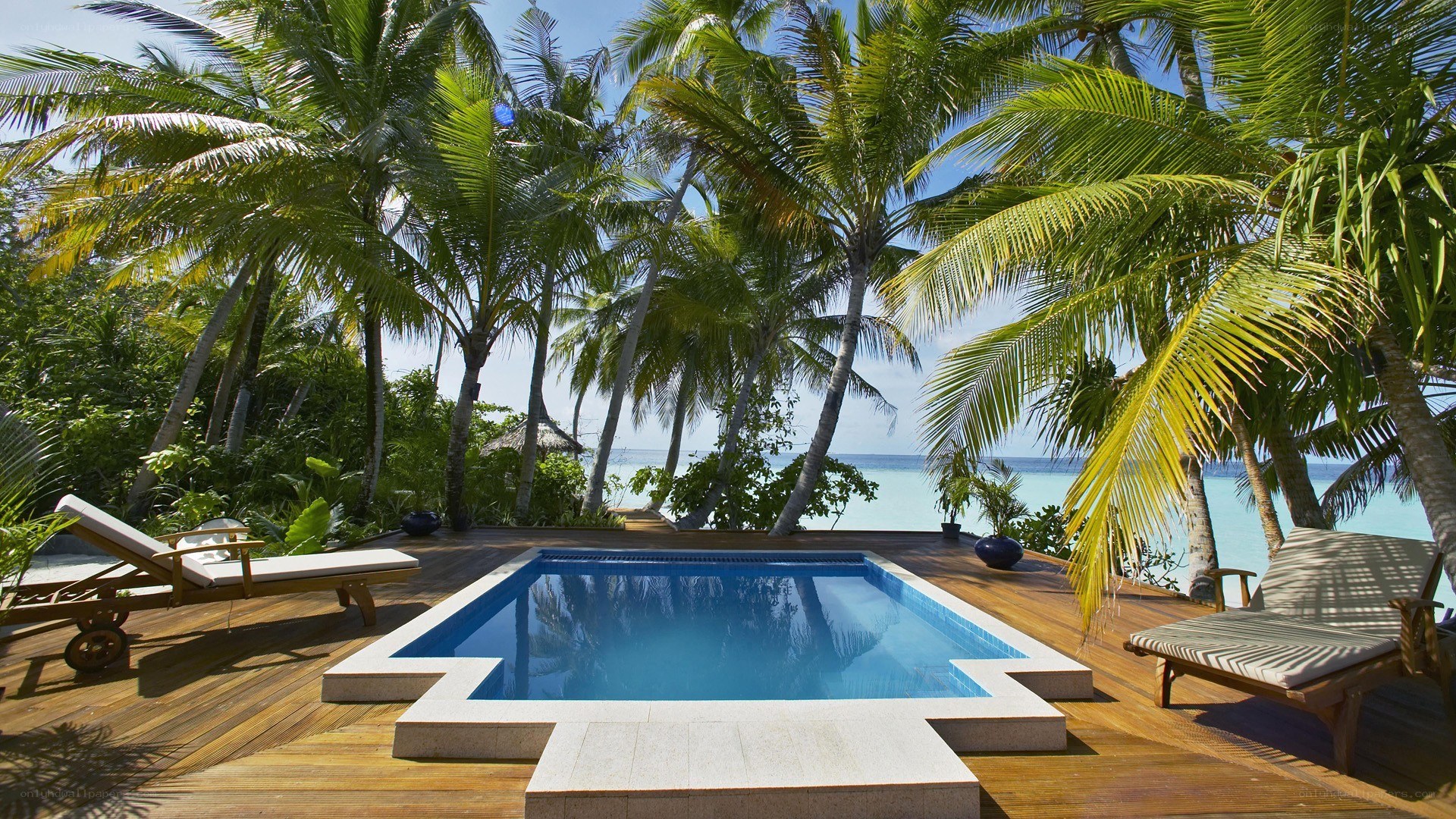 Tropical pool with palm trees