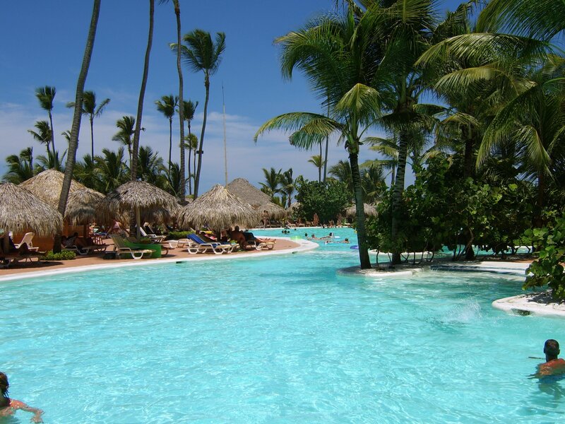 tropical pool with palm trees