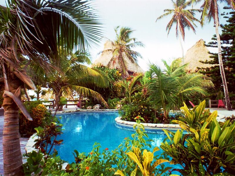 Tropical Pool with Palm Trees — Blue