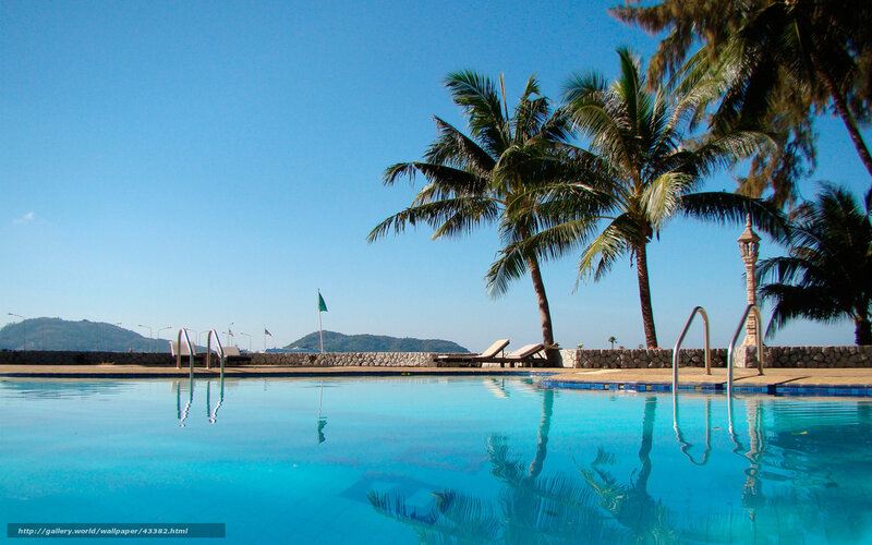 tropical pool with palm trees