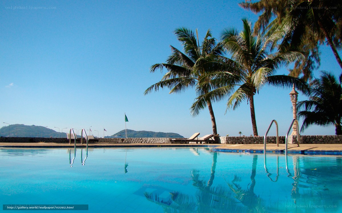 tropical pool with palm trees