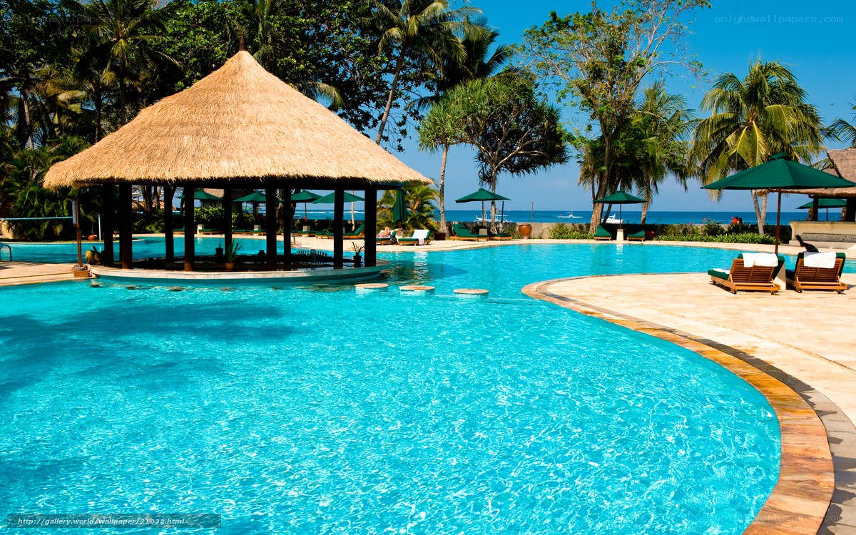 Tropical pool with thatched gazebo