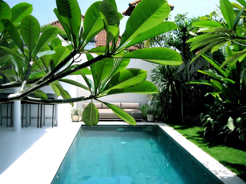 Tropical poolside garden